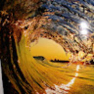 Meet your Posher, Dan